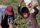 La CUSETI impulsa una nueva formación para prevenir y erradicar el trabajo infantil